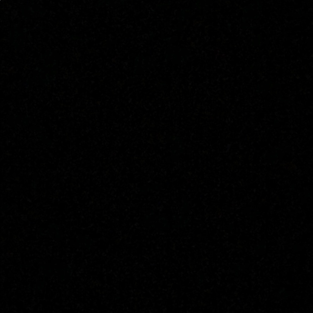 Meet your Posher, Gracie